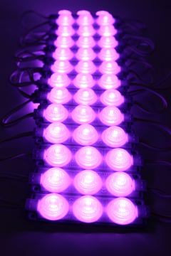 12 Volt 3’lü Lensli 3 Watt 3030 Reklamcı Modül Led Mor (10 Adet)