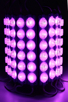 12 Volt 6 Watt 6 Mercekli Mor Modül (10 Adet)