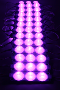 12 Volt 3’lü Lensli 3 Watt 3030 Reklamcı Modül Led Mor (10 Adet)
