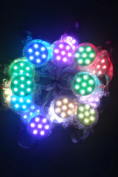 24 Volt 50MM Adreslenebilir ARGB Lunapark Ledi WS2811 ARGB Pixel Modül Led (30 Adet)