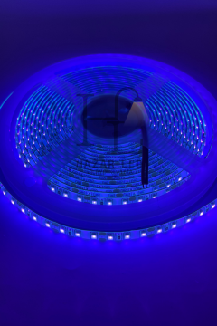 12 Volt UV (Ultraviyole) Şerit Led 2835 SMD Metrede 120 Led Black Light 5 Metre