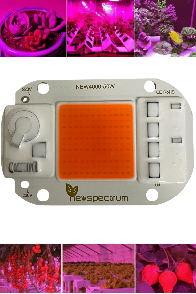 220V 50W Grow Led Full Spectrum Cob Led (Bitki Yetiştirme Ledi)