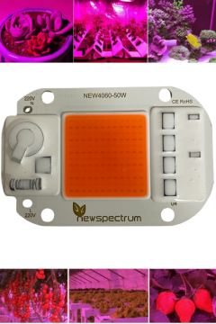 220V 50W Grow Led Full Spectrum Cob Led (Bitki Yetiştirme Ledi)