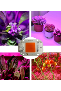 220V 50W Grow Led Full Spectrum Cob Led (Bitki Yetiştirme Ledi)