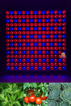 220 Volt 45 Watt Grow Led Panel Full Spectrum Bitki Yetiştirme Lambası