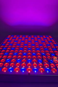 220 Volt 45 Watt Grow Led Panel Full Spectrum Bitki Yetiştirme Lambası