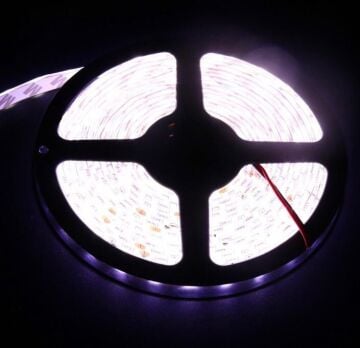 24 Volt Şerit Led 5050 IP65 5 Metre Sarı (Amber)
