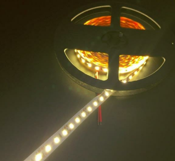 24 Volt Şerit Led 5050 IP65 5 Metre Mavi