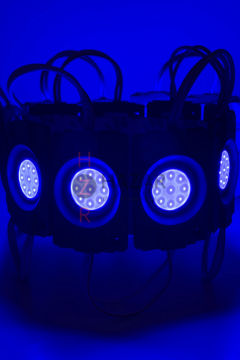 12 Volt 2.4 Watt Tekli Su Geçirmez Modül Led Mavi (10 Adet)